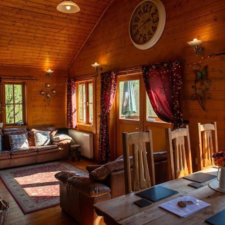 George Cabin - Log Cabin In Wales With Hot Tub Newtown  Exterior foto